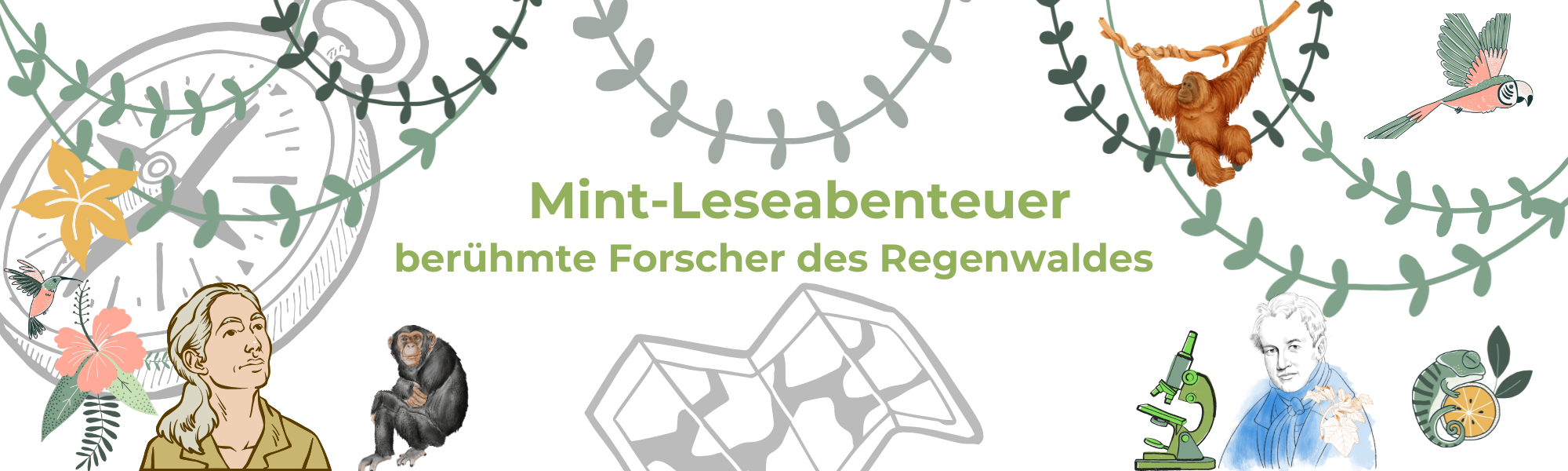 Mint Abentuer
