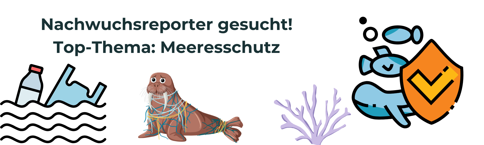 Nachwuchsreporter Meer